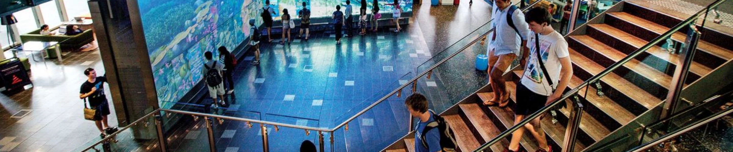 Master of Design (Strategic Design)